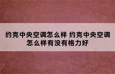 约克中央空调怎么样 约克中央空调怎么样有没有格力好